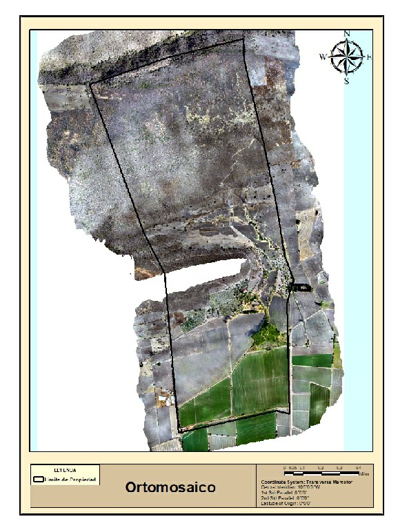 Ortomosaico del terreno